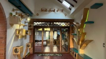 PHOTO-2022-05-04-15-45-32