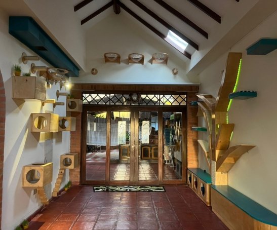 PHOTO-2022-05-04-15-45-32